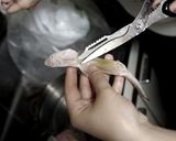 仔鮫のフライ作り方1写真