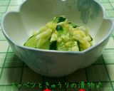 シンプルが好き❇簡単❇きゅうりの漬物♪作り方10写真