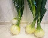 葉つき玉ねぎの簡単！グラタン作り方1写真