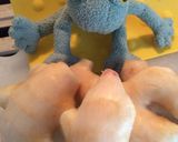 ♧さっぱり( ´ω`)新生姜の甘酢漬け作り方3写真