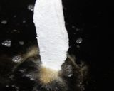 鯖の新玉ねぎ南蛮作り方19写真