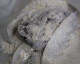 鯖の新玉ねぎ南蛮作り方9写真