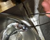 マス(トラウト)の燻製(くんせい)作り方9写真