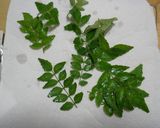 ささみの木の芽あえ作り方1写真