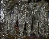 マス(トラウト)の燻製(くんせい)作り方21写真
