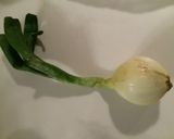 絶品♡簡単‼︎新たまねぎのサラダ作り方1写真