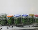 クセになる辛み！葉（花）わさびの醤油漬け作り方8写真