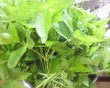 簡単　三つ葉のおひたし作り方1写真