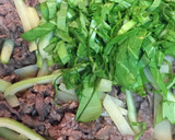 新じゃがと牛肉のシャキシャキ青椒肉絲風作り方8写真