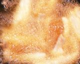 メバルのパリパリ姿煎餅と☆キス揚げ作り方7写真