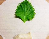 カリカリッ！ササミと大葉の変わり春巻き作り方3写真