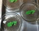 チアシードで☆カエルの卵ゼリー作り方5写真