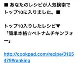 【フォーガー】簡単☆ベトナムチキンフォー作り方8写真
