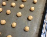 ほろほろきな粉のスノーボール♪作り方4写真