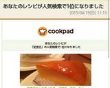 記念日に☆スライスチーズでチーズケーキ♪作り方14写真