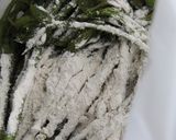 うどの新芽天作り方5写真