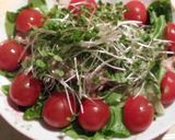 鶏むね肉の♡味噌塩麹オーブン焼き作り方9写真