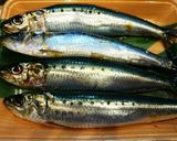 イワシ(鰯)のパン粉焼き&下処理作り方1写真