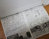 簡単でおいしい！揚げ焼き春巻き作り方14写真