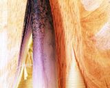 旬のタケノコ焼きver簡単作り方4写真