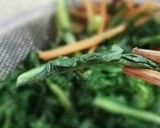 春菊とにんじんのナムル作り方1写真