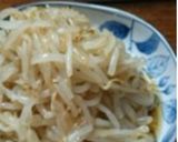 簡単✿もやしとニラのナムル風作り方14写真