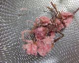 春色☆桜あんぱん作り方10写真