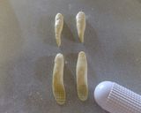 クリームパン♪コニー作り方14写真