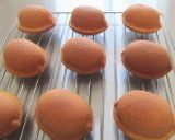 昔懐かしのレモンケーキ作り方11写真