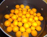 金柑の甘露煮作り方1写真