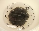 ひじきとカラフル野菜のイタリアンサラダ作り方1写真