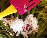 葉ごぼうの茎できんぴら♡旨いつまみや♫作り方8写真