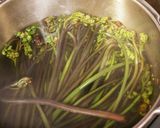 手軽にわらびのあく抜き作り方2写真