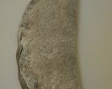 Black sesame bread作り方15写真