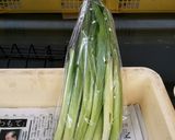 ウルイ(ぎぼうし)の＊塩昆布和え作り方1写真