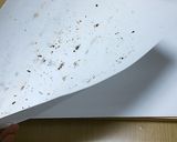 私流ビスコッティの作り方♡ズボラ技全集作り方35写真