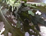 赤からし水菜、だけサンド。作り方1写真