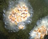 納豆そのまま揚げちゃいました♪作り方2写真