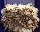 簡単♪となりのトトロ キャラ弁 海苔弁作り方1写真