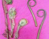 ゼンマイのアク抜き♥トップ10入り♥作り方1写真