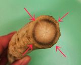 根菜のポトフ作り方1写真