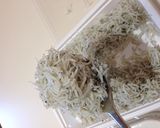 【静岡名物】大盛り釜揚げしらす丼作り方1写真