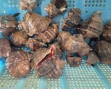 ニシガイのごま油炒め作り方1写真