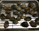 30分で！！あさりの砂抜き作り方9写真