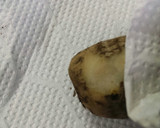 さといもといんげん豆の味噌汁作り方3写真