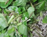 三つ葉炒め蕎麦作り方7写真