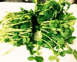 豆苗と筍の煮物作り方7写真