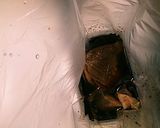 ローストビーフもどき?!作り方5写真