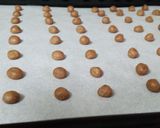 まるでペットフード!?ビックリ卵ボーロ作り方4写真