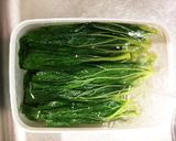 わかりやすい 蕗の下ごしらえの仕方作り方5写真